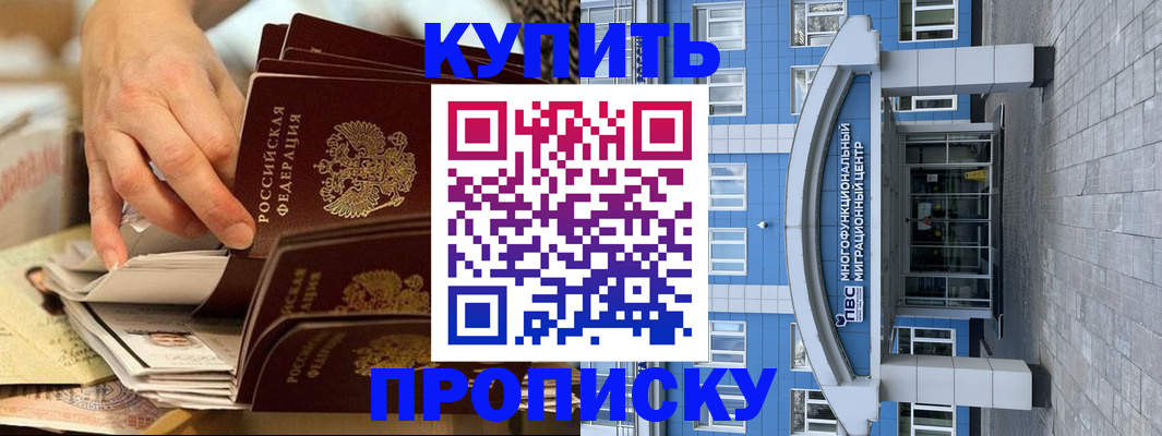 прописка гарантия в Приозерске